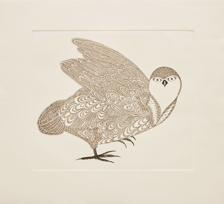 Artwork by Kananginak Pootoogook, A Collection of Etchings: Portfolio IV