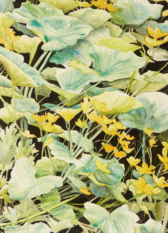 Artwork by Michael Zarowsky, Three Still Lifes