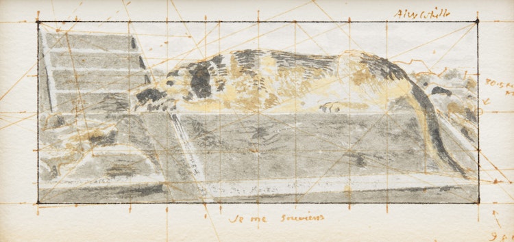 Artwork by David Alexander Colville, Study for