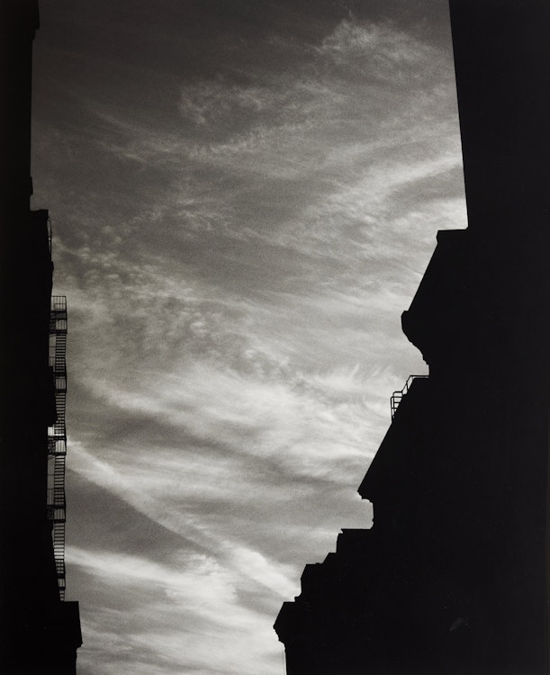 Artwork by Jocelynne Alloucherie, Pièges II (Photo 6)