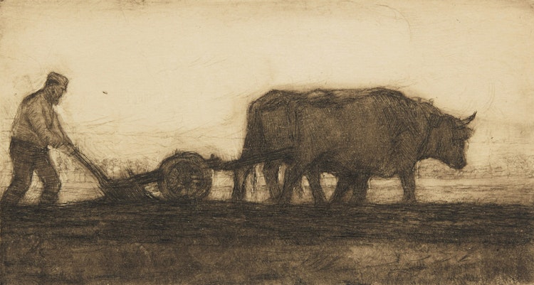 Artwork by Clarence Alphonse Gagnon, Oxen Plowing, 1902