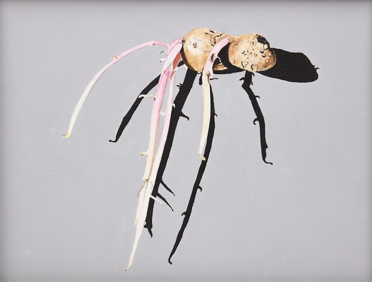 Artwork by Serge Lemonde, Patate