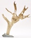 Thumbnail of Artwork by Luke Anowtalik, Antler Men