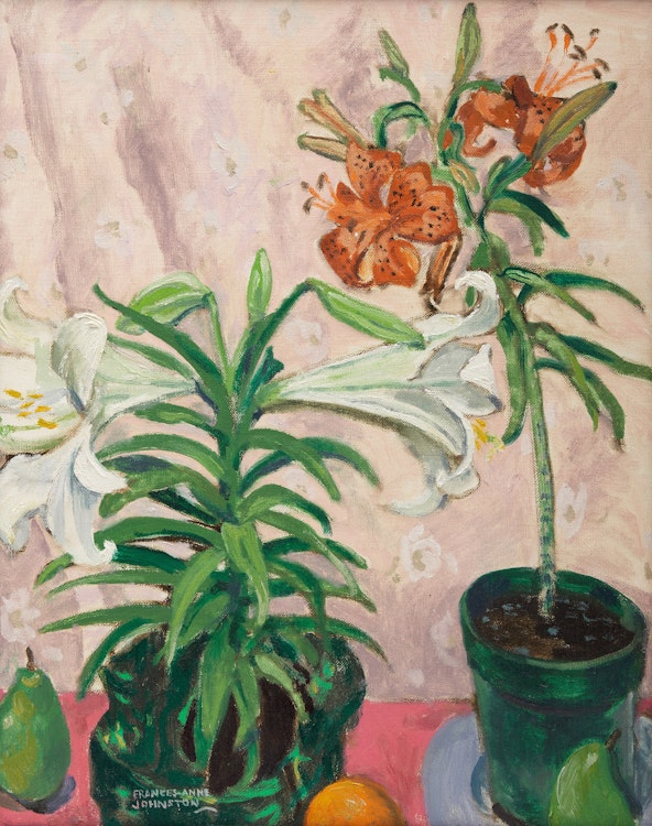 Artwork by Frances Anne Johnston, Lily Plants and Fruit, c.1970