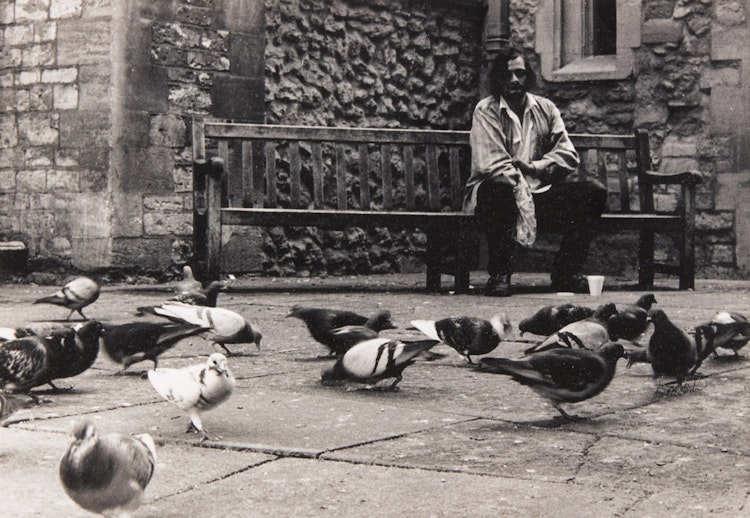 Artwork by Natalie Munk, Feeding the Pigeons