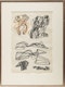 Thumbnail of Artwork by Stanley William Hayter, Coupled Figures