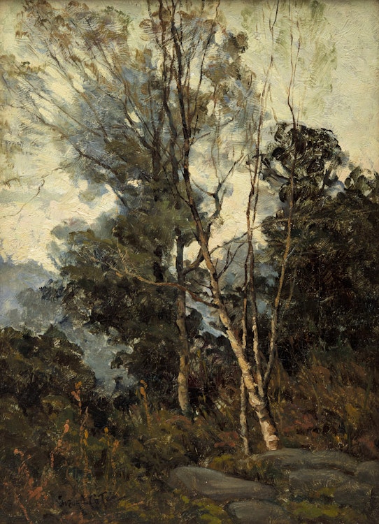 Artwork by Marc-Aurèle de Foy Suzor-Coté, Birches