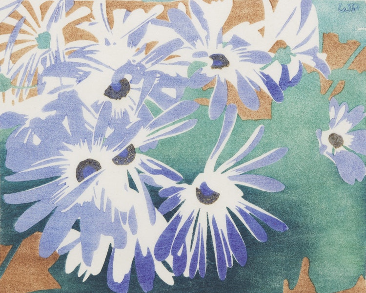 Artwork by Walter Joseph Phillips, Cineraria