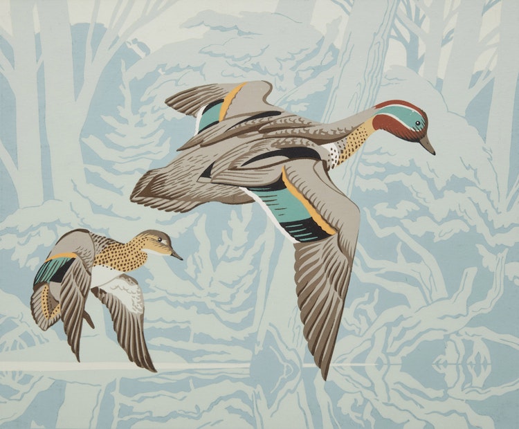 Artwork by Alfred Joseph Casson, Green Wing Teal Ducks; Blue Wing Teal Ducks; Wood Ducks; Black Ducks; Red Head Ducks