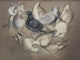 Thumbnail of Artwork by Louis Muhlstock, Seated Man; Pigeons of St. Famille