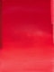 Thumbnail of Artwork by Wanda Koop, Standing Withstanding (Infrared-Still); Standing Withstanding (Infrared-Capital), 2017