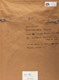 Thumbnail of Artwork by Lorenz Schindler, Rabindranath Tagore