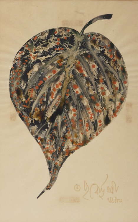 Artwork by Poonen Duputtree, Plant Study and Two Floral Studies