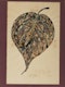 Thumbnail of Artwork by Poonen Duputtree, Plant Study and Two Floral Studies