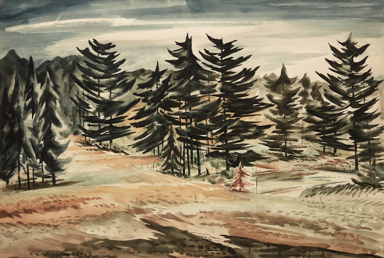Artwork by Carl Fellman Schaefer, Pinnacle Hill Woods, Waterloo County