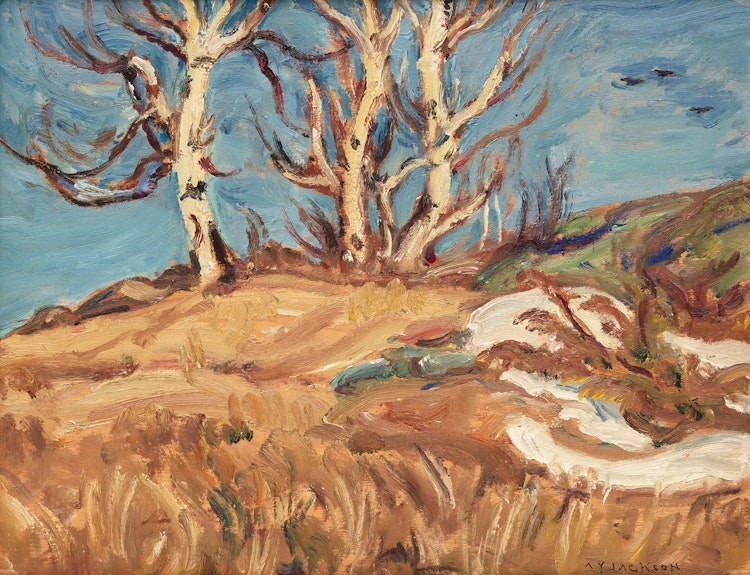 Artwork by Alexander Young Jackson, Old Birch Trees, Calabogie