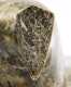 Thumbnail of Artwork by Abraham Etungat, Winged Bird