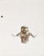 Thumbnail of Artwork by Marcel Dzama, Hooded Yale Man with Two Six Shooters and a Rat