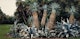 Thumbnail of Artwork by John Pfahl, Seven Landscapes