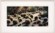 Thumbnail of Artwork by John Pfahl, Seven Landscapes