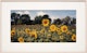 Thumbnail of Artwork by John Pfahl, Seven Landscapes