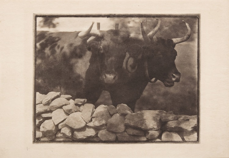 Artwork by Gertrude Kasebier, My Neighbors