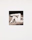 Thumbnail of Artwork by Mia Klein, Female Nudes