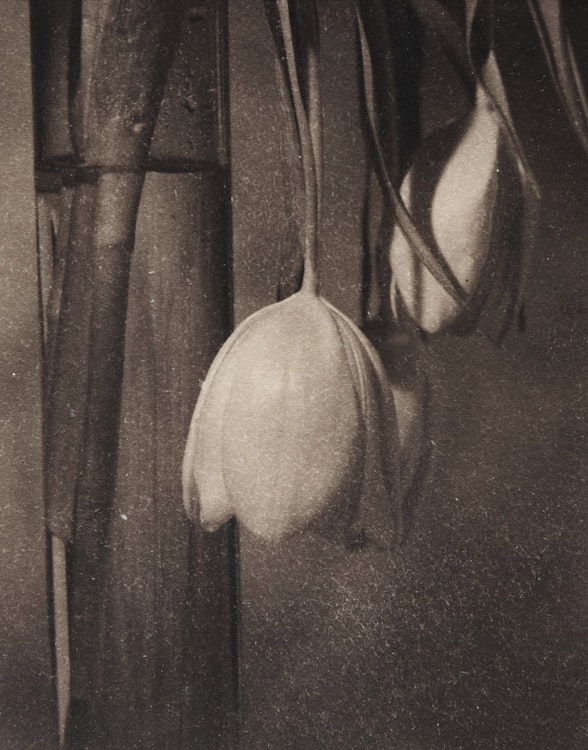 Artwork by Steven Jack, Still Life