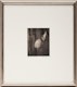 Thumbnail of Artwork by Steven Jack, Still Life