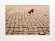 Thumbnail of Artwork by Lana Šlezic, Mounted