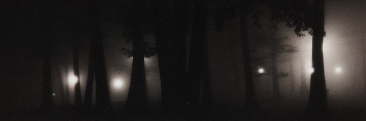 Artwork by Rick Zolkower, Kew Park in Fog with Lights and Trees at Night