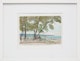 Thumbnail of Artwork by Bernice Fenwick Martin, Cherry Beach, 1956