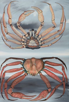 Artwork by David Lloyd Blackwood, Snow Crab, 1981