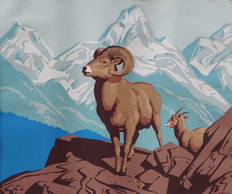 Artwork by Alfred Joseph Casson, Rocky Mountain Sheep