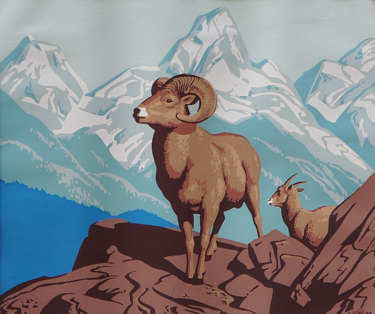 Artwork by Alfred Joseph Casson,  Rocky Mountain Sheep