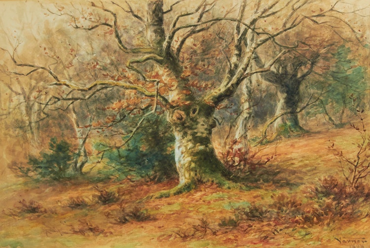 Artwork by Frederick Arthur Verner, Forest Landscape