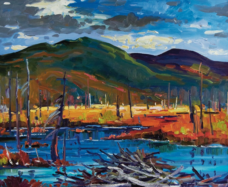 Artwork by Bruno Côté, Beaver Dam, Lac a La Puce