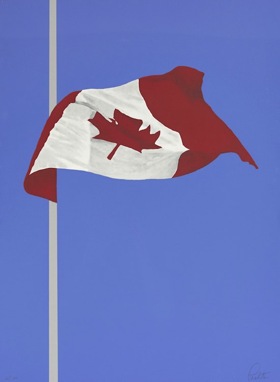 Artwork by Charles Pachter,  The Printed Flag