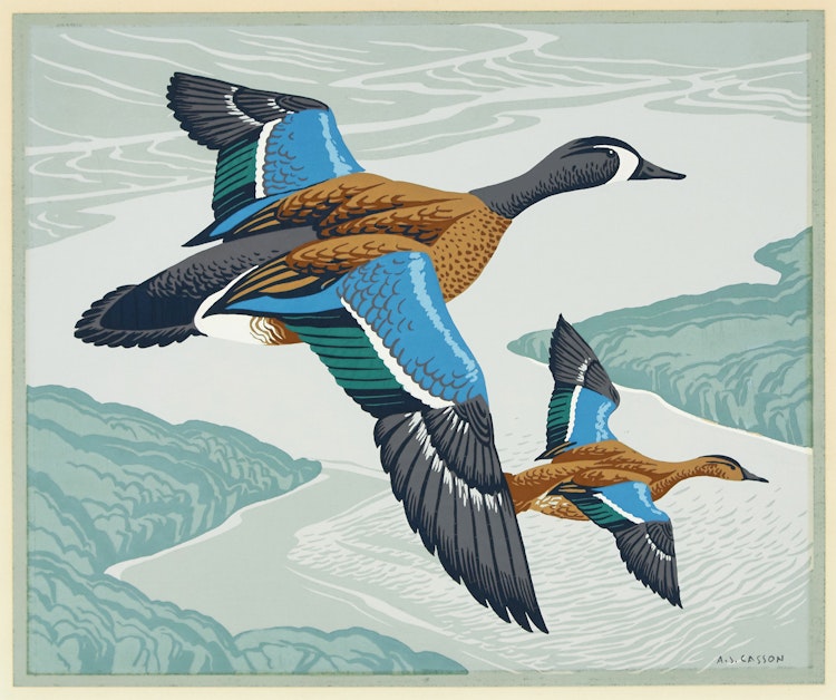 Artwork by Alfred Joseph Casson,  Blue-Winged Teal