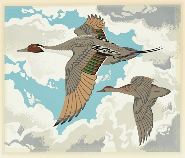 Artwork by Alfred Joseph Casson, Pintail
