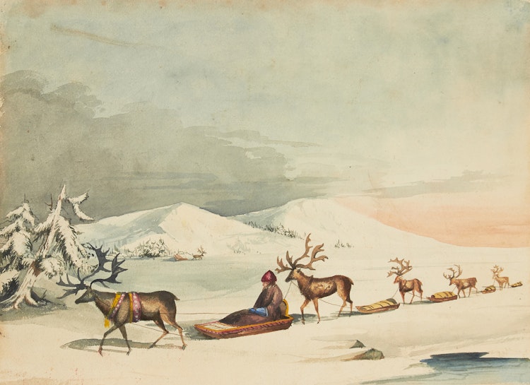 Artwork by  Canadian School,  Reindeer, Baffin Island (circa 1921)