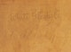 Thumbnail of Artwork by John Goodwin Lyman, White Gladioli