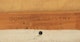 Thumbnail of Artwork by John Goodwin Lyman, White Gladioli