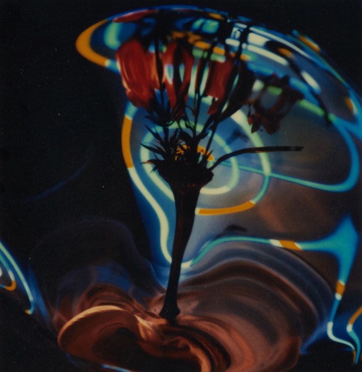 Artwork by Don Jean-Louis, Neon Vertigo