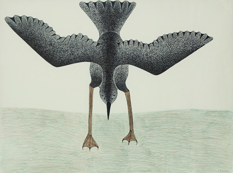 Artwork by Kenojuak Ashevak, Ready for Flight