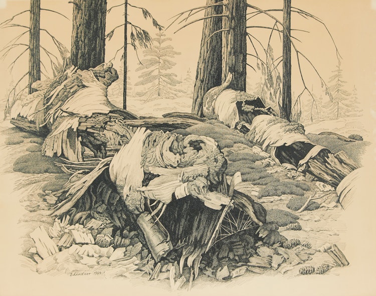 Artwork by Ernest Lindner, Edge of Woods