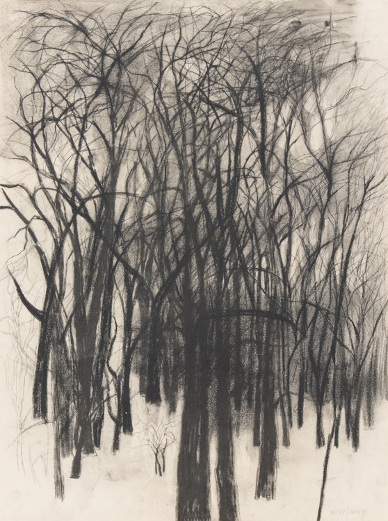 Artwork by Molly Lamb Bobak, Forest Landscape