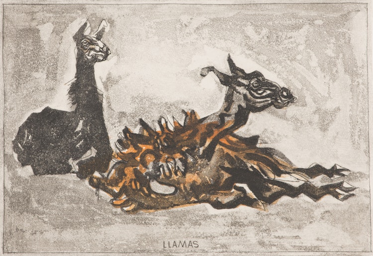 Artwork by Alistair Macready Bell, Llamas