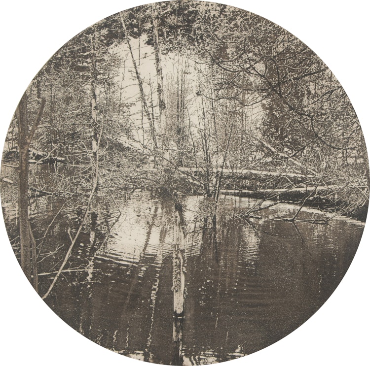 Artwork by George Raab, Cavan Bog