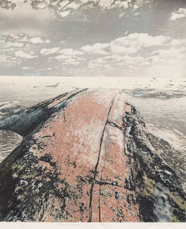 Artwork by Edward John Bartram, Whalesback #3